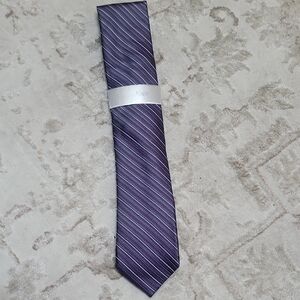 Calvin Klein Men's Tie in Deep Purple with Stripes